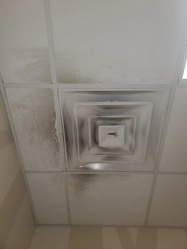 Dark staining around a ceiling supply register and water-marked ceiling tiles found during a Clean Air Detective inspection
