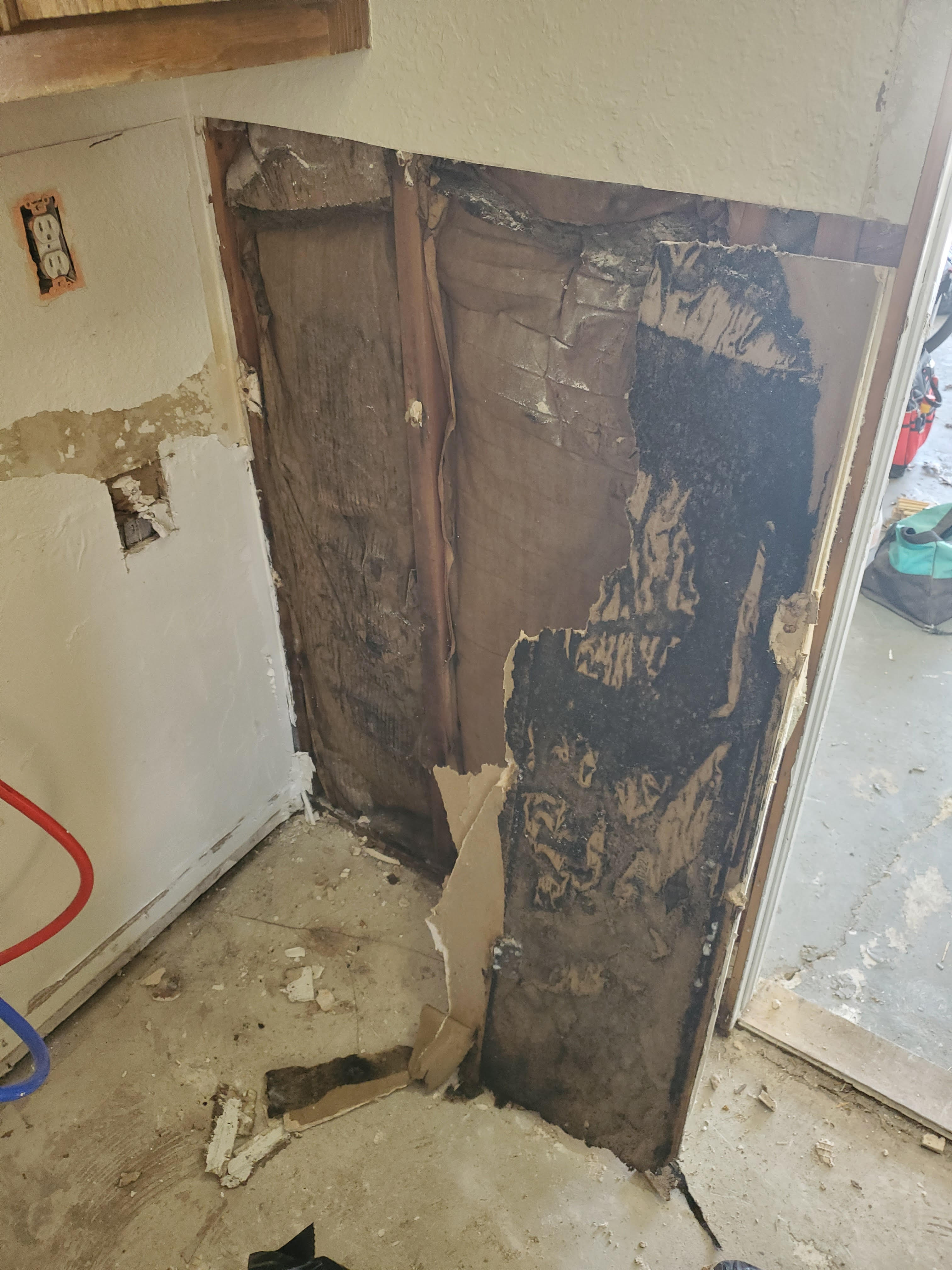 Severe mold damage behind drywall with exposed insulation Piedmont OK